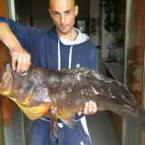 Una cernia